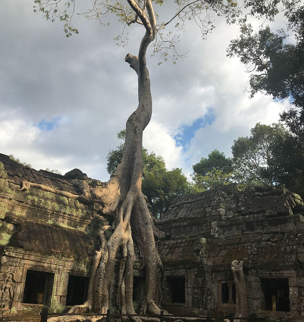 Ta Prohm Temple, Near Siem Reap, Cambodia.