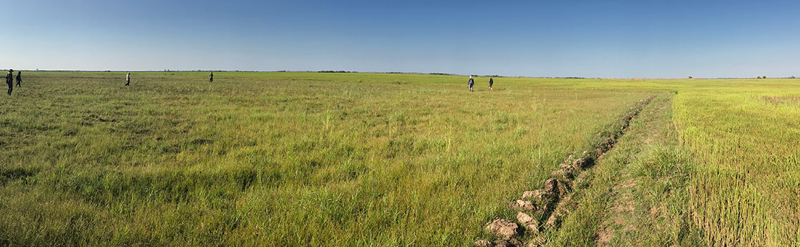Florican grassland site, South-east of Kampong Kdei, Cambodia.