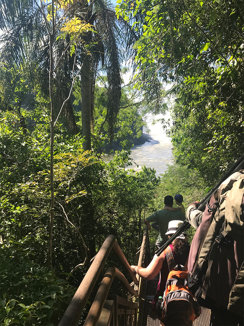  One of the steep trails in Iguazú, Parque Nacional Iguazú, Argentina.