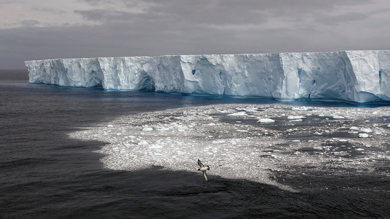  Iceberg, Bransfield Strait, Antarctica.